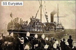 Euryalus