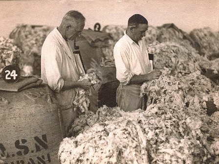 Fred Booth as a Wool Buyer